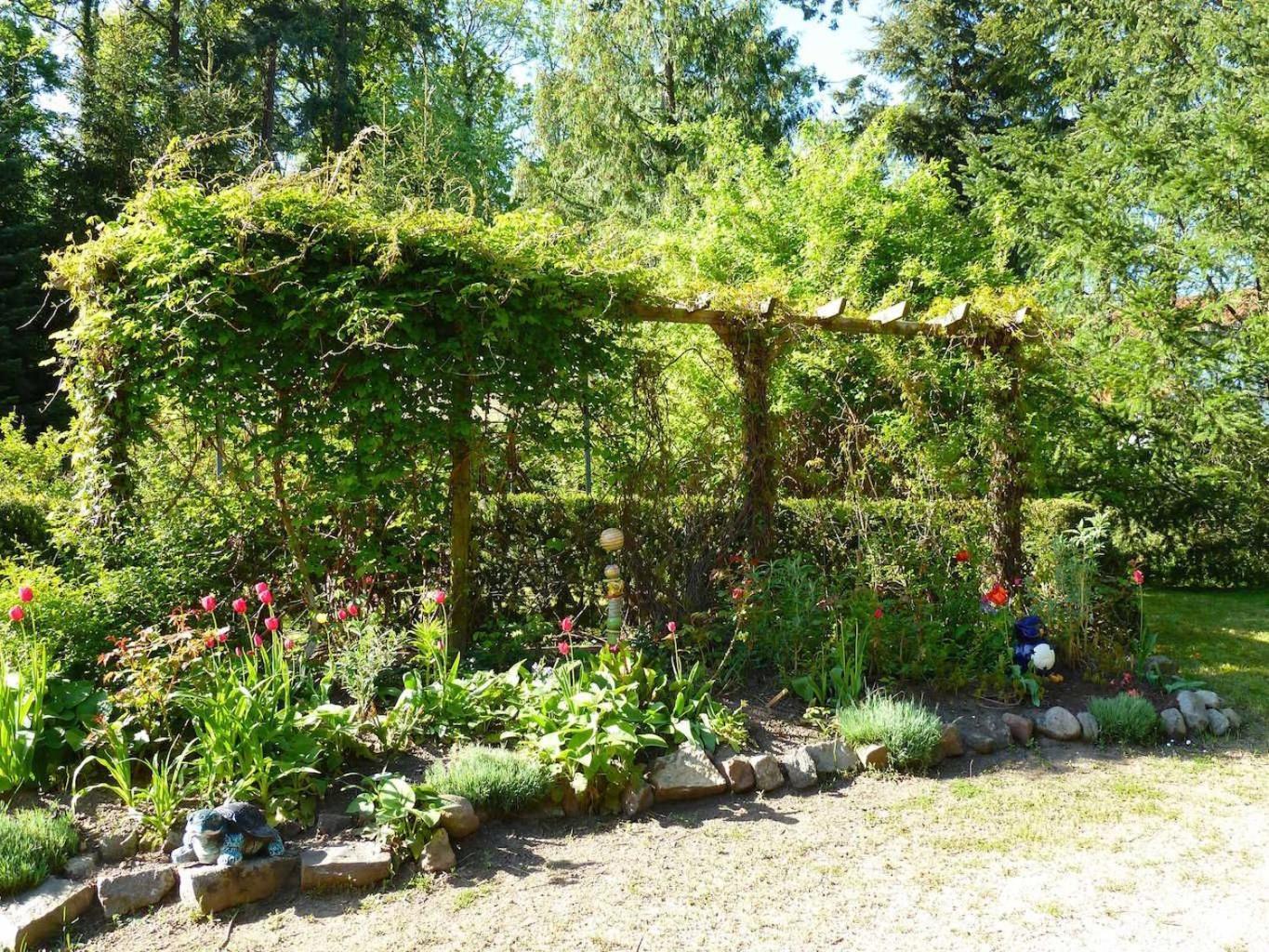 Ferienwohnung Villa Am Haussee Feldberger Seenlandschaft Exterior foto